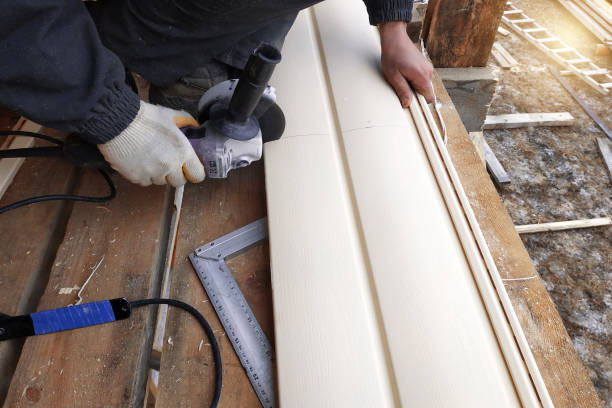 Best Brick Veneer Siding  in Blasdell, NY